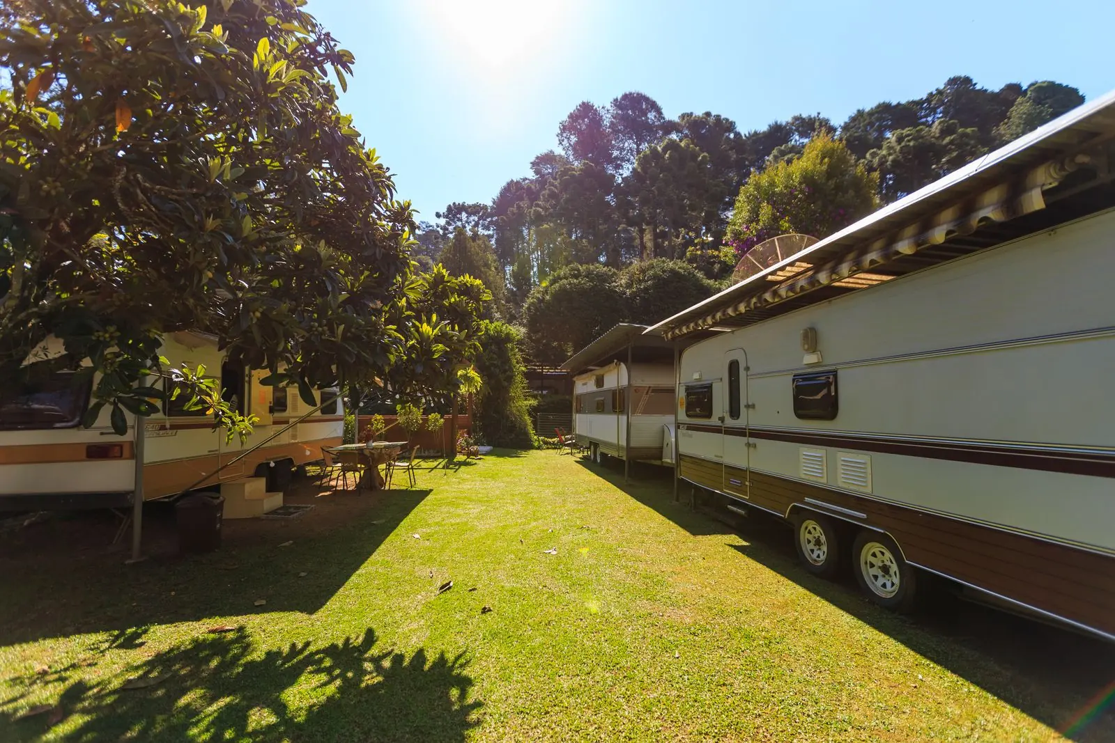 Camping authentique avec caravanes entourées d'arbres et de verdure